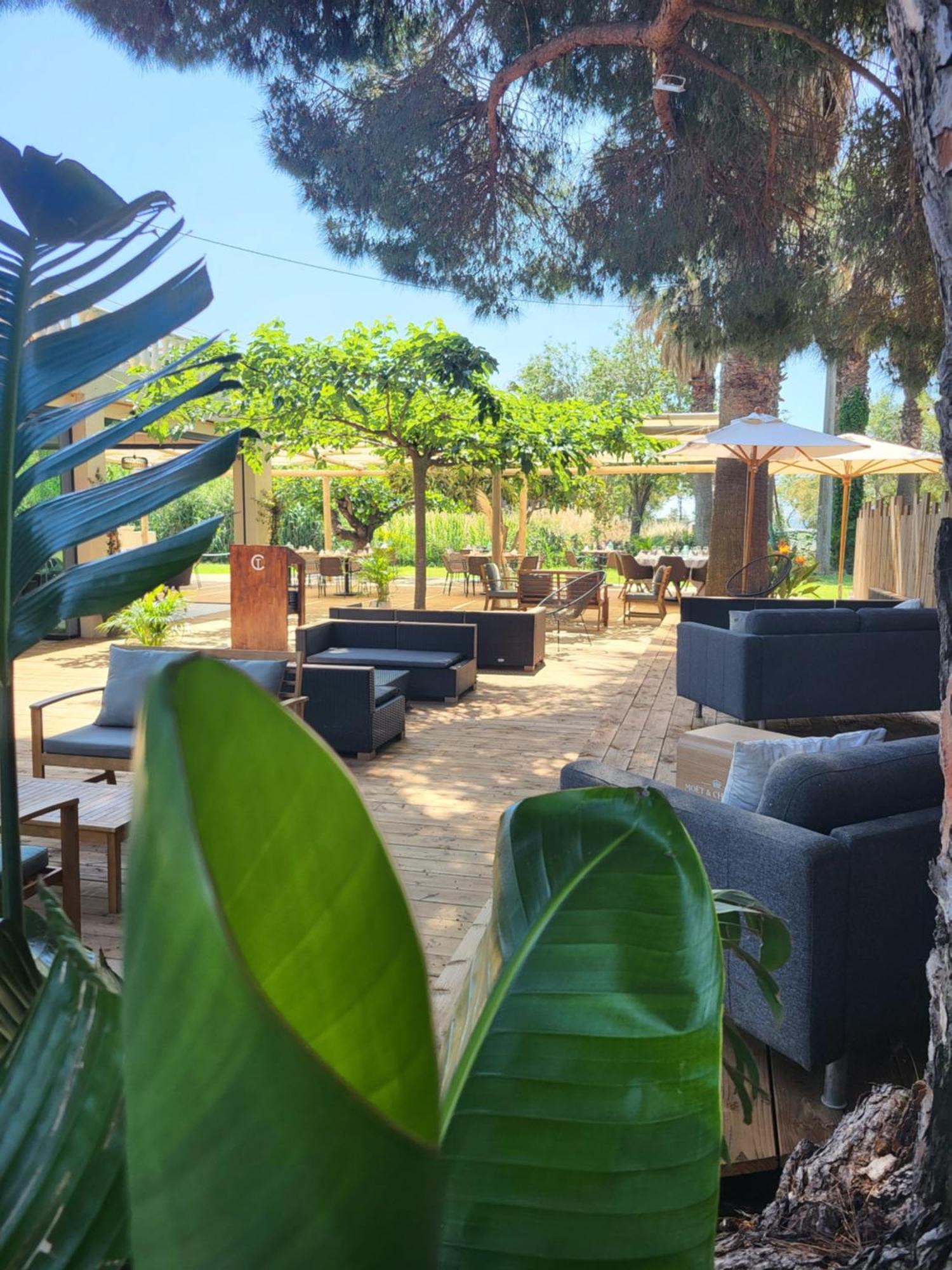 Hotel De La Mer Hyères Екстериор снимка
